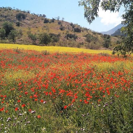 Magina Dream La Guardia Turismo Rural La Guardia de Jaén Kültér fotó
