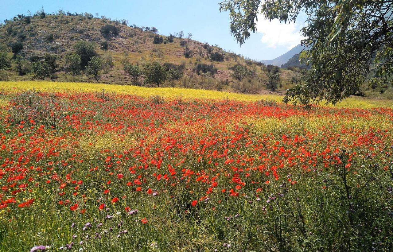 Magina Dream La Guardia Turismo Rural La Guardia de Jaén Kültér fotó
